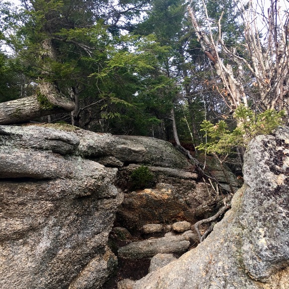 Meet your Posher, Julia - Picture 1 of 1